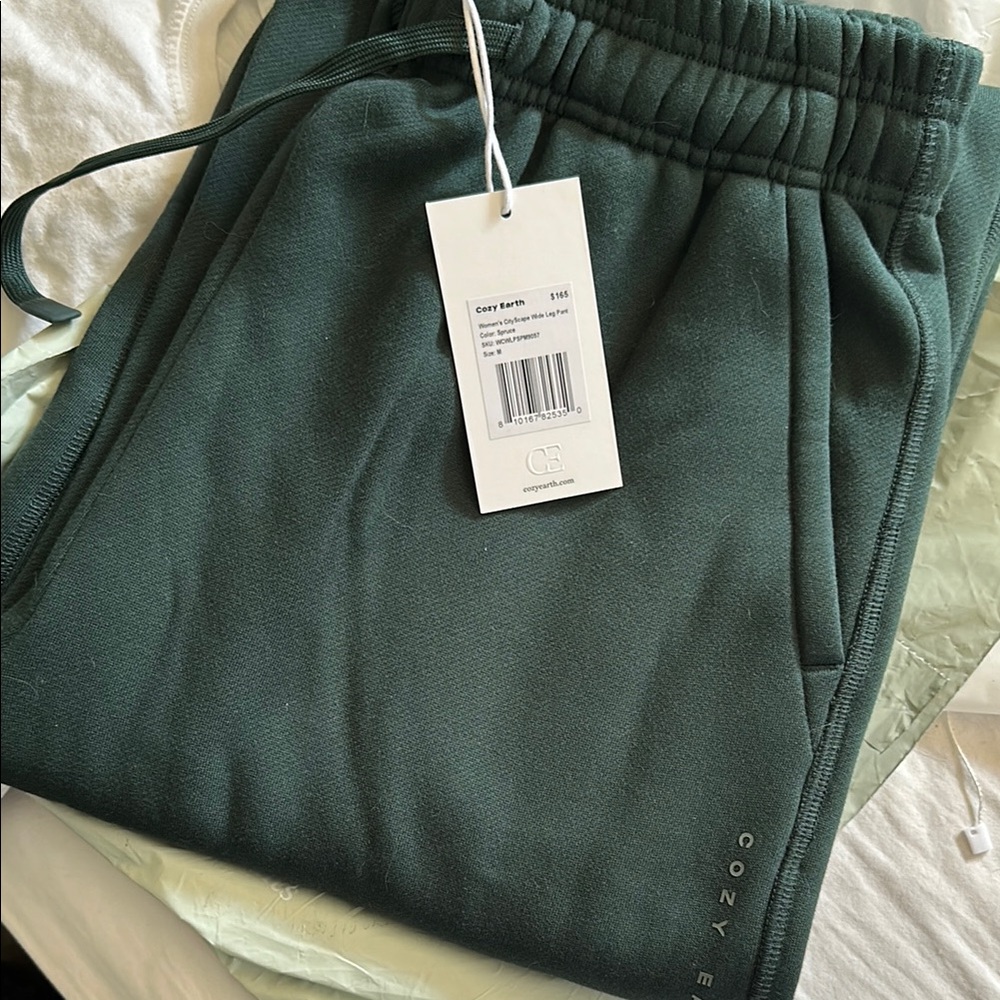 NWT Cozy Earth Sweatpants in Spruce